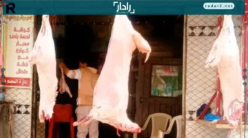 أسعار اللحوم في كفر الشيخ اليوم السبت 11 أكتوبر 2025 تتصدر المشهد